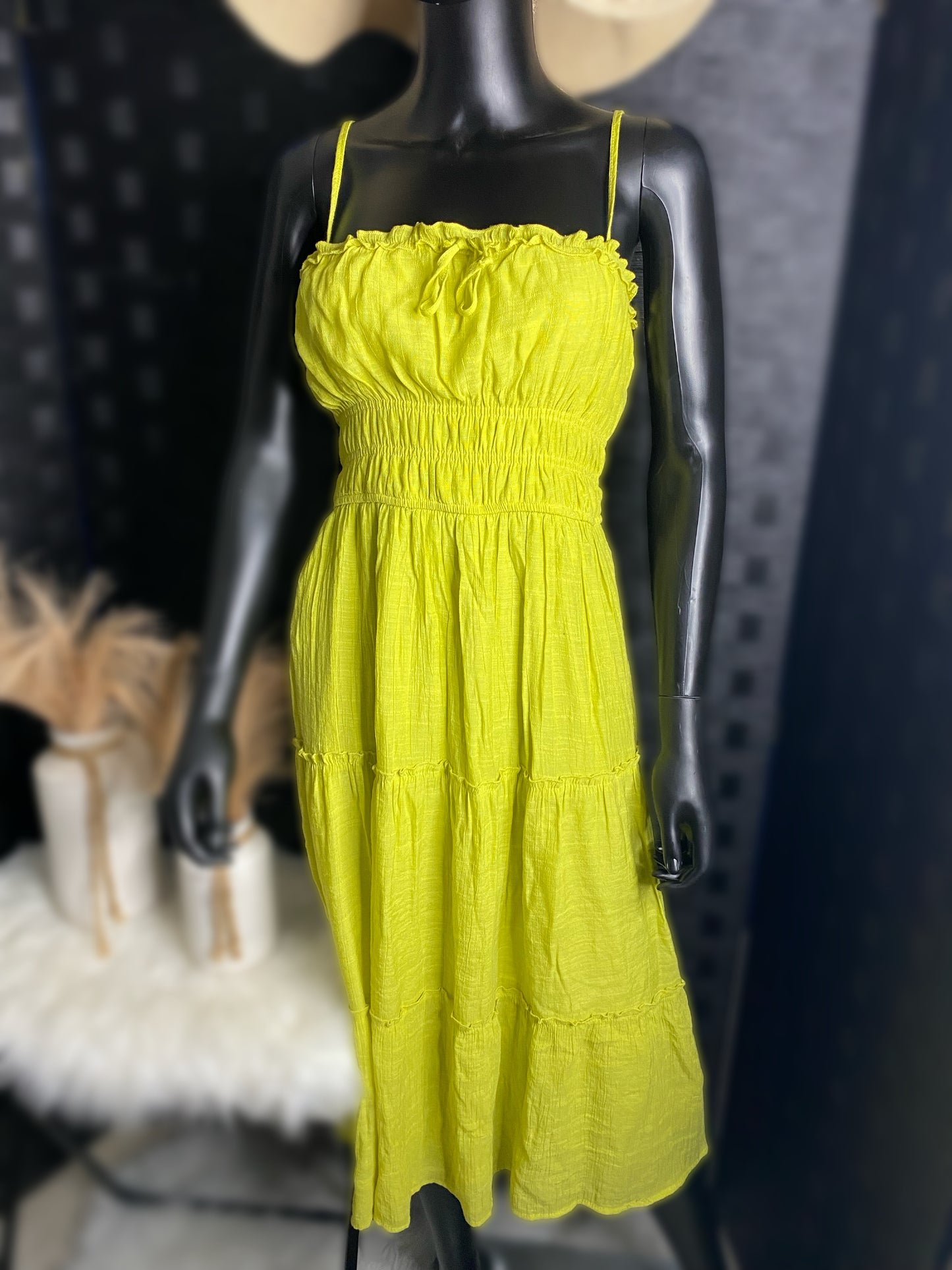 Picnic Hour Dress