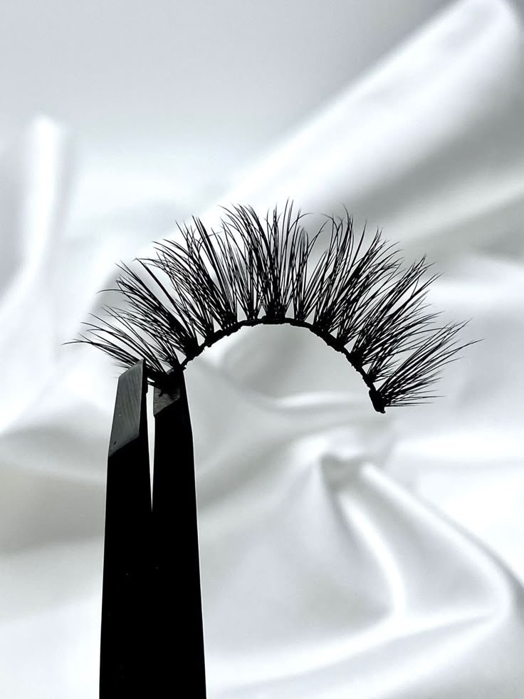 Eye Lashes
